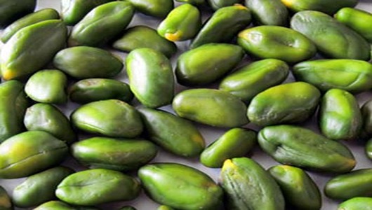 خرید مغز پسته کال سبز + قیمت فروش استثنایی